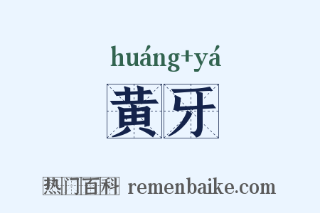 黄牙是什么意思的图片